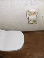 洋式便器取替工事　東京都小平市 XCH1101WS