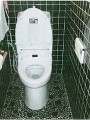 洋式便器取替工事　宮崎県小林市　BC-Z10HU+DT-Z180HU