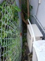給湯器取替工事 東京都江東区 RUF-A1610AG-A