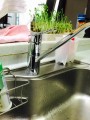 水栓・ガスコンロ取替工事　東京都江戸川区　01