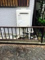 給湯器取替工事 埼玉県さいたま市桜区 GT-C2452SAWX2set13A