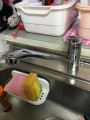蛇口取替工事　和歌山県岩出市　TKGG31E-sale